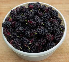 mulberries in a bowl