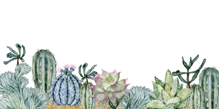 Composition in the sand. Cacti and succulents. Florarium. Home plants. Watercolor illustration