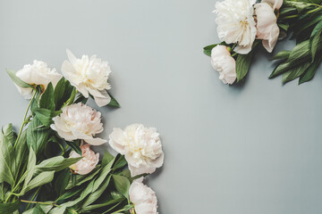 Beautiful white peony flowers on a grey background with copy space for your text top view and flat lay style © shine.graphics