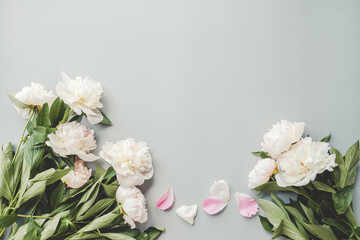Beautiful white peony flowers on a grey background with copy space for your text top view and flat lay style