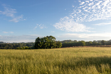 A field of hay in the Creuse countryside early morning, with blue sky and clouds.