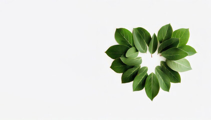 Heart of Nature: Green Leaves on White Background, Generative AI
