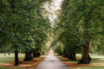Calm Fall Season. Beautiful Landscape With Road In Autumn Forest. Maples And Birch Trees With Green, Yellow And Orange Leaves And Footpath In The Woodland In Sunny Day