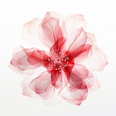Red and White blend flower. Illustration AI Generative.