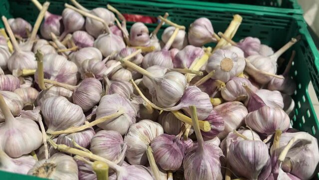 Lots of garlic in the supermarket. 