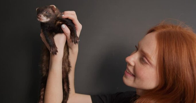 red-haired beautiful young woman having fun with cute ferret, entertainment, pet care Slow motion Love at first sight isolated black background. woman looking at yawning tired pet