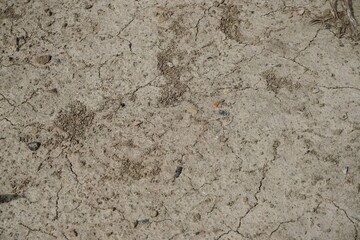Ausgetrockneter grau-brauner Erdboden mit Risse-Muster bei Sonne und Hitze am Morgen im Sommer
