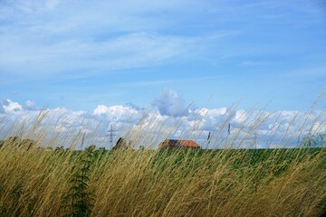 Landschaft Panorama mit hohem Gras vor Feld mit Hausdächern und blauem Himmel mit weißem...