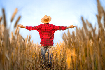 Farmer with hat and raised arms standing in wheat field supporting agriculture and crops production. © littlewolf1989
