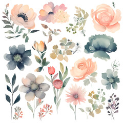 Watercolor flowers set. Hand drawn vector illustration. Design elements.