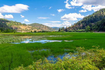 The mountains, hills, lake and wetlands at Wolf Lodge Bay, along the shores of Lake Coeur d'Alene at summer, in the North Idaho Panhandle region at Coeur d'Alene, Idaho USA.