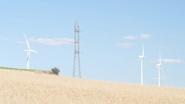 wind farm in a wheat field.
Sony a7rV 4k 60fps 200 MB/s RAW