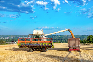 Grain harvesting combine in summer at corn field