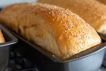 Loaf of Artisan Bread Cooling