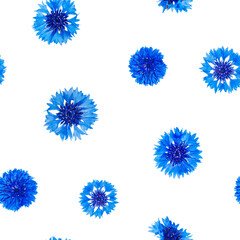 Seamless pattern of blue cornflower flowers isolated on white background
