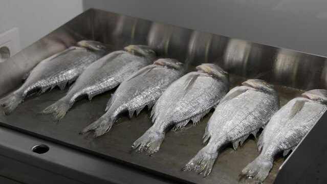Fresh Sea Breams Grilling on a Hot BBQ in Croatia