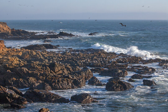 California rocky coastline at San Simeon California United States