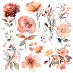 Watercolor flowers set. Hand painted floral background. Vector illustration.
