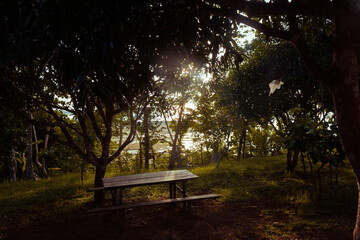 Empty bench by the sea at sunset