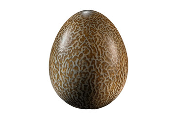 Emu egg. isolated object, transparent background