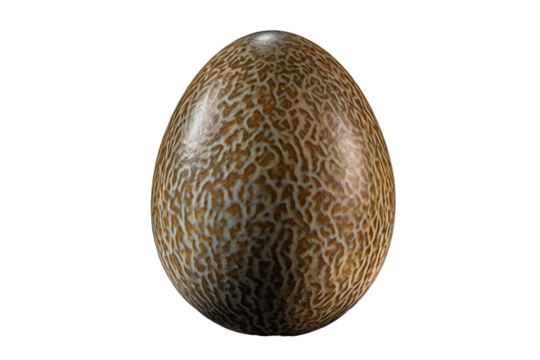 Emu egg. isolated object, transparent background