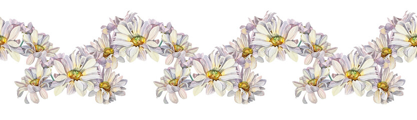 Seamless border watercolor chrysanthemum daisy chamomile isolated on white background. Hand-drawn summer bloom flower for florist. Art for celebration wedding wrapping textile, coloring book