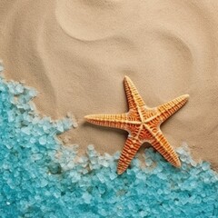 Fototapeta na wymiar shell, starfish at beach summe