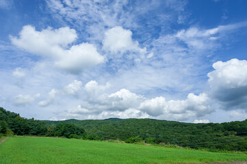 Obraz premium 夏空広がる