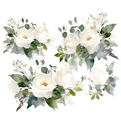 Watercolor bouquet of white roses.isolated on white background.