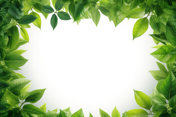 Naklejka premium Empty space surrounded by beautiful leaves with an empty backdrop and beautiful lighting and bokeh. Green leaves frame. Illustration, Generative AI.