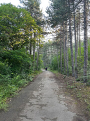 Public park in the hills above the town of Kazanlak in Bulgaria - a very nice place for hiking and cross country running 