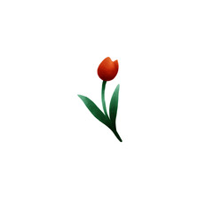 bouquet of orenge tulips