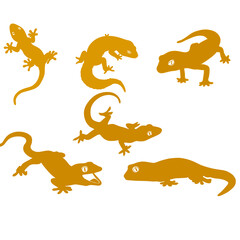 Golden lizard silhouette