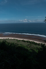 Low tide, view from afar. Beach, rainforest and ocean