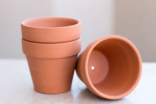 植木鉢　テラコッタ　ポット　terracotta