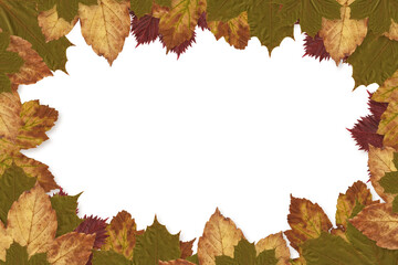 Digital png illustration of autumn leaves with copy space on transparent background