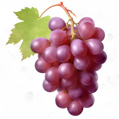 Fototapeta premium Close-Up of a Bunch of Grapes