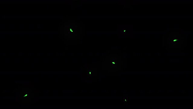Seamless Explosions Transitions is a gorgeous cartoon transition template animated in the style of various dynamic explosions in full HD resolution with alpha channel.
