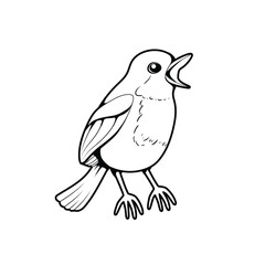 Robin Bird Black and White Vector Line Art