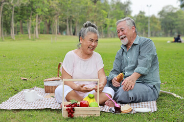 Happy asian senior man and woman sitting on blanket and having fun on picnic together in garden outdoor. Lover couple using computer and writing at the park. Happiness marriage lifestyle concept.