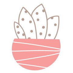 House Plants Flower in Vase