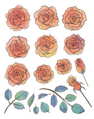 少女漫画風お花素材セット・ゴージャスな黄金の薔薇