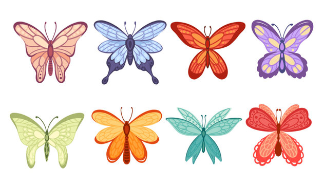 Set of colorful butterfly insect cartoon style animal design vector illustration isolated on white background