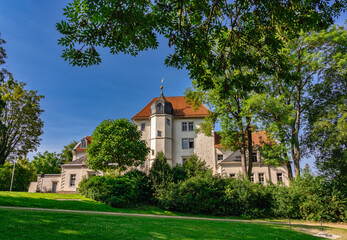 Fototapeta na wymiar Burg Sehusa in Seesen
