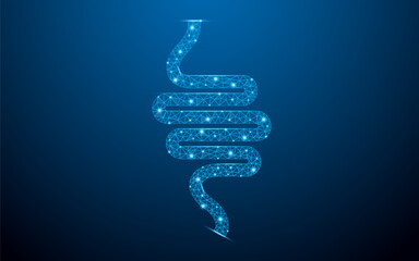 Human small intestine digestive for stomach gastroparesis with low poly wireframe with abstract mesh line and point. Polygonal wireframe and low poly vector illustration on dark blue background. - obrazy, fototapety, plakaty