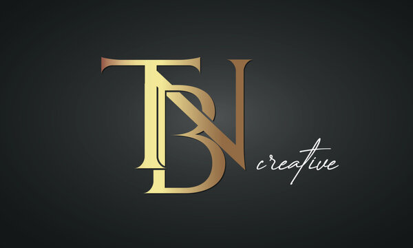 luxury letters TBN golden logo icon premium monogram, creative royal logo design	