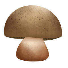 mushroom isolated on black