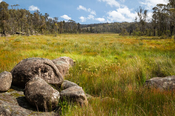 Granite boulders and green grass in Cathedral Rock National Park in New South Wales in Australia