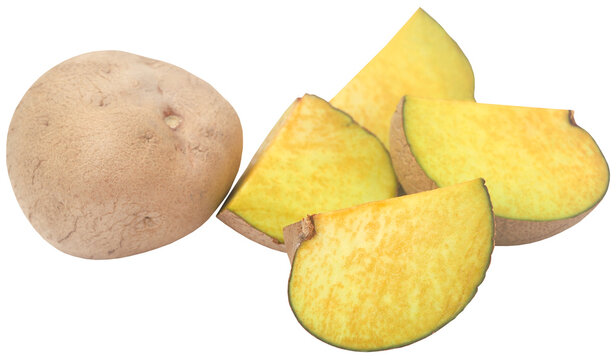 Dioscorea bulbifera or Air potato