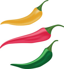 Set of colorful chili peppers on transparent background
